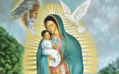 Screen Shot 2021 07 17 at 6.03.56 PM 400x250 (1)