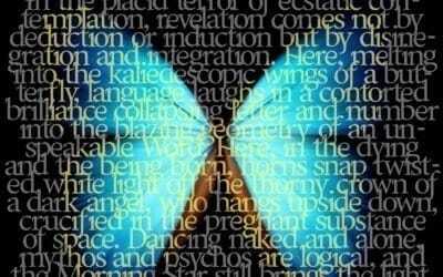 placid terror 400x250