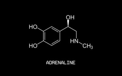 Adrenaline : The Superpower That Awakens When You Need It The Most.&nbsp;