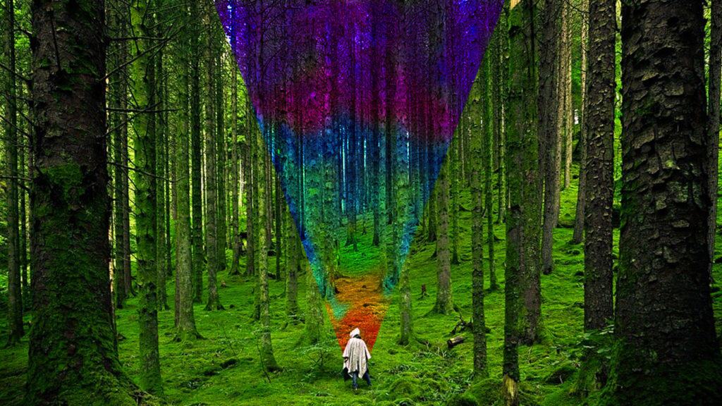 alone with nature