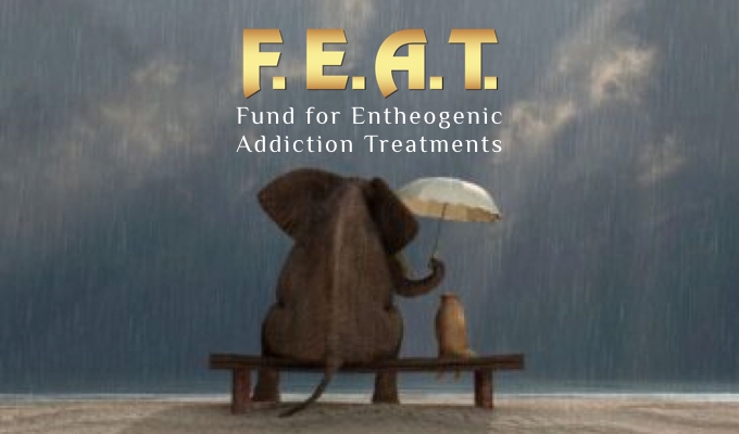 FEAT donation img.001