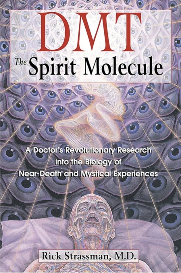DMT The Spirit Molecule