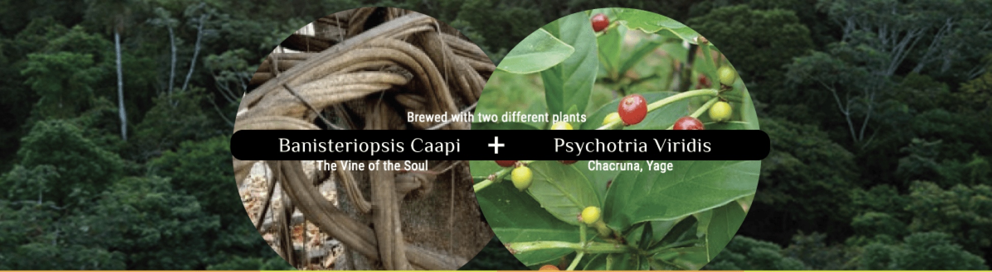 Group cover image